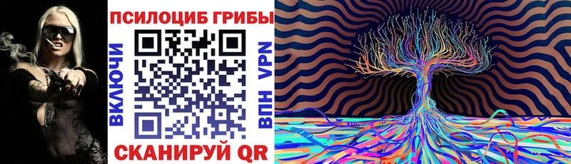 купить закладку  Омск  Псилоцибиновые грибы ЛСД 
