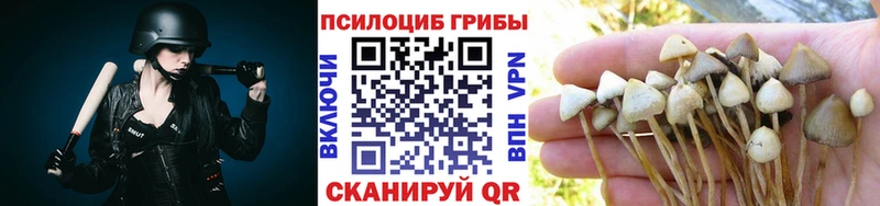 Псилоцибиновые грибы ЛСД Омск